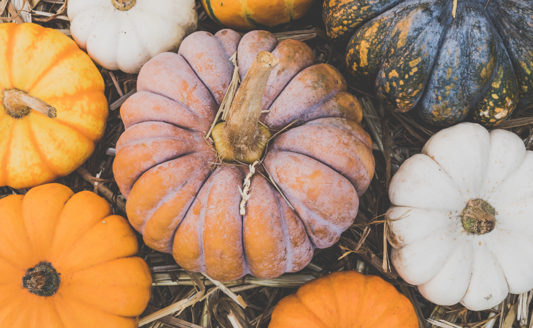 I benefici della zucca