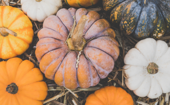 Benefici della zucca