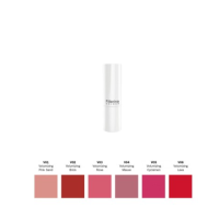 FILLERINA COLOUR 12HA ROSSETTO VOLUMIZZANTE colore 02