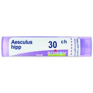 AESCULUS HIPPOCAST 30CH GR 4G