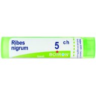 RIBES NIGRUM 5CH GR 4G
