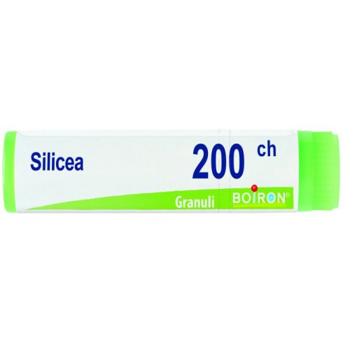 SILICEA 200CH GL