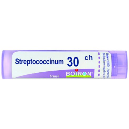 STREPTOCOCCINUM 30CH GR 4G