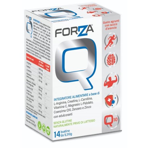 FORZA Q 14BUST FORZA Q 14BUST