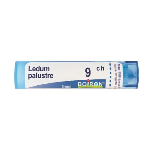 LEDUM PALUSTRE 9CH GR LEDUM PALUSTRE 9CH GR