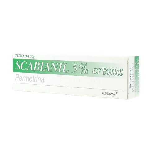 SCABIANIL*CREMA 30G 5% SCABIANIL*CREMA 30G 5%