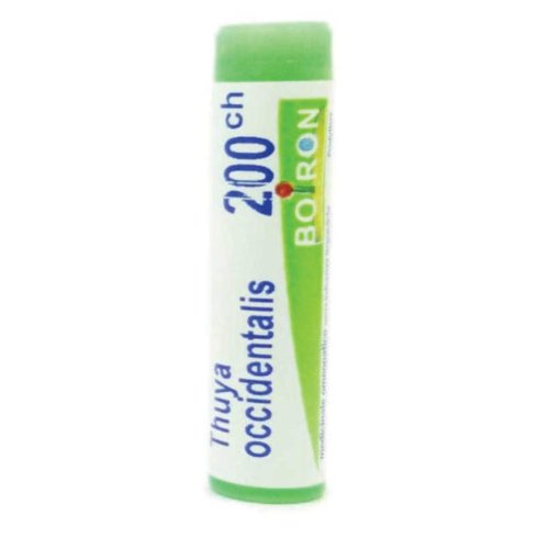 THUYA OCCIDENT 200CH GL