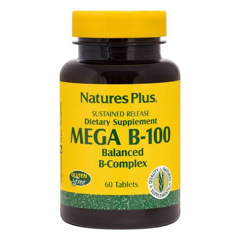 MEGA B100 60TAV