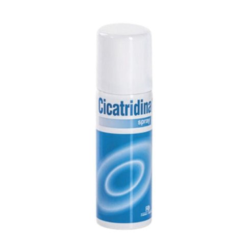 Cicatridina Spray Cicatrizzante Per Ferite Abrasioni Ulcere E Piaghe Da Decubito 125ml