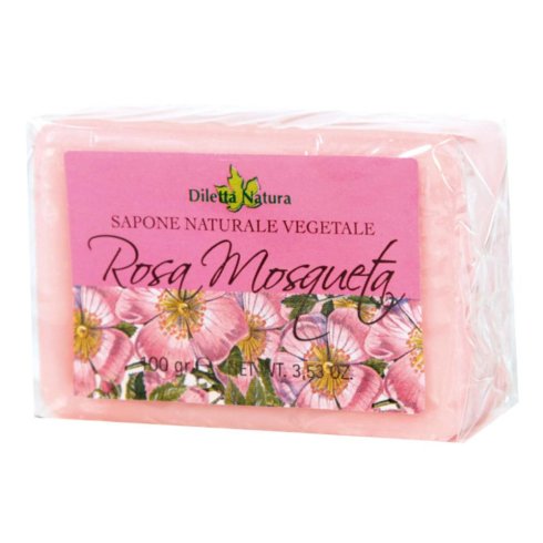 DILETTA N SAP ROSA MOSQUETA