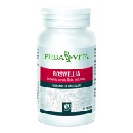 BOSWELLIA SERRATA 60CPS 400MG