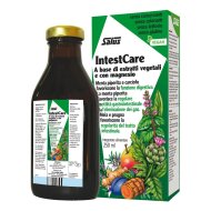 INTESTCARE 250ML