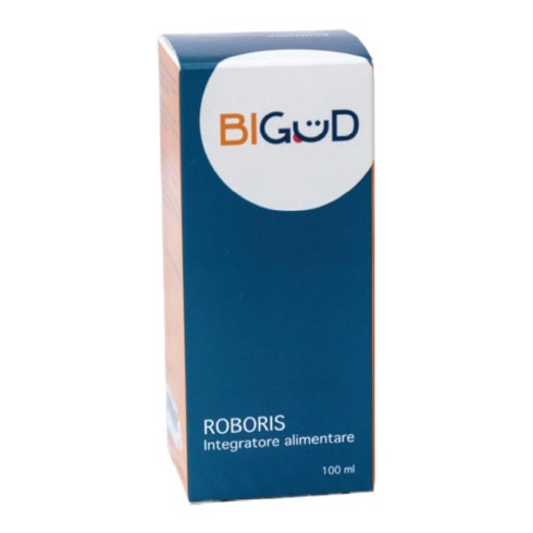 BIGUD ROBORIS 100ML