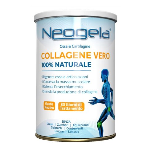 NEOGELA POLVERE 400G