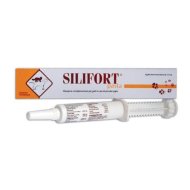 SILIFORT PASTA OS SIRINGA 30G