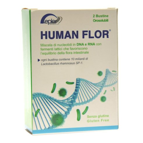 HUMANFLOR 8BUST 12G