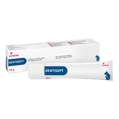 DENTISEPT PASTA DENTIF ORALE