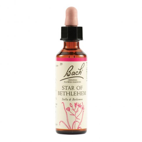 STAR OF BETHL ORIG 20ML