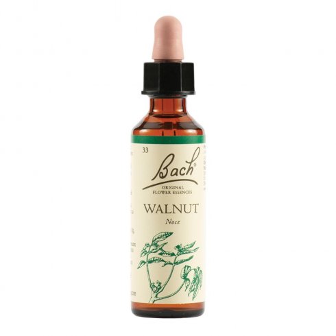 WALNUT BACH ORIG 20ML