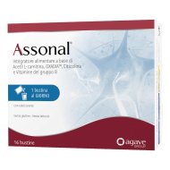 ASSONAL 16BUST ASSONAL 16BUST