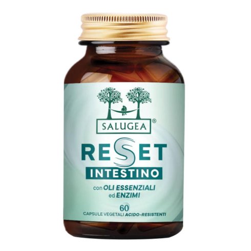 RESET INTESTINO SALUGEA 60CPS RESET INTESTINO SALUGEA 60CPS