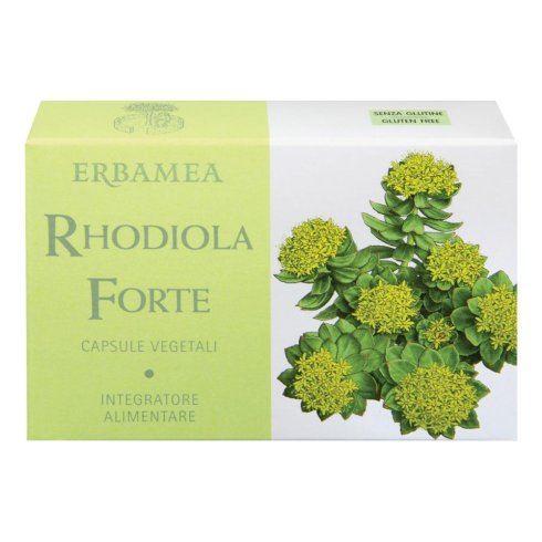 RHODIOLA FORTE 24CPS RHODIOLA FORTE 24CPS