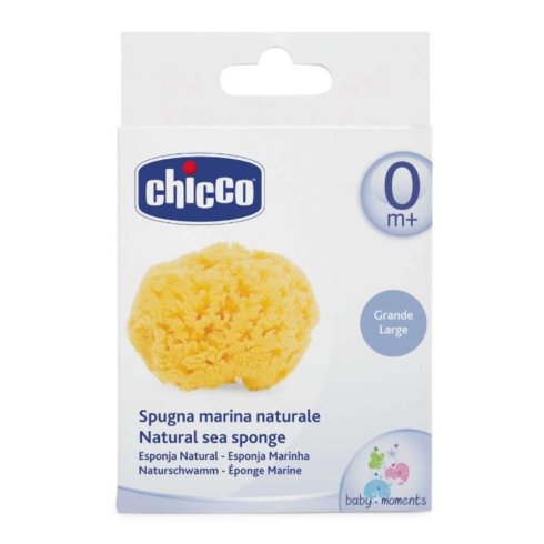 CH SPUGNA GRANDE IGIENE SICURA
