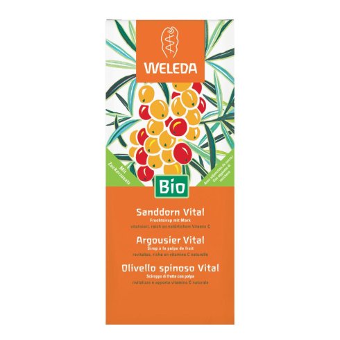 OLIVELLO SPINOSO VITAL SCIR