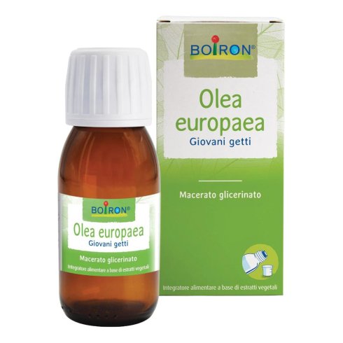 OLEA EUROPAEA BOIRON MG 60ML