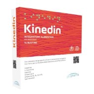 KINEDIN 14BUST
