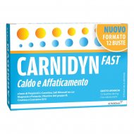 CARNIDYN FAST 12BUST