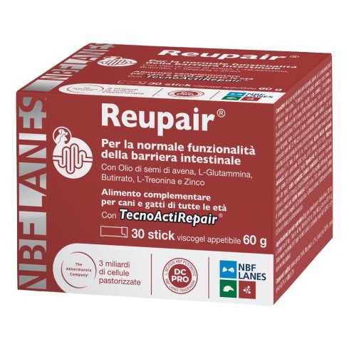 REUPAIR 30STICK REUPAIR 30STICK