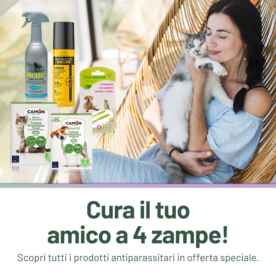 zampa